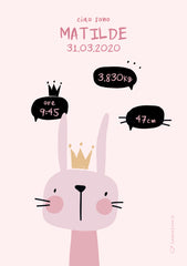Animals / Birth Announcements