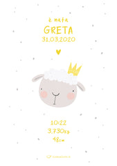 Animals / Birth Announcements