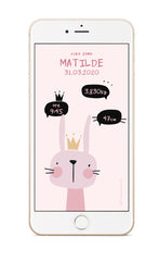 Animals / Birth Announcements
